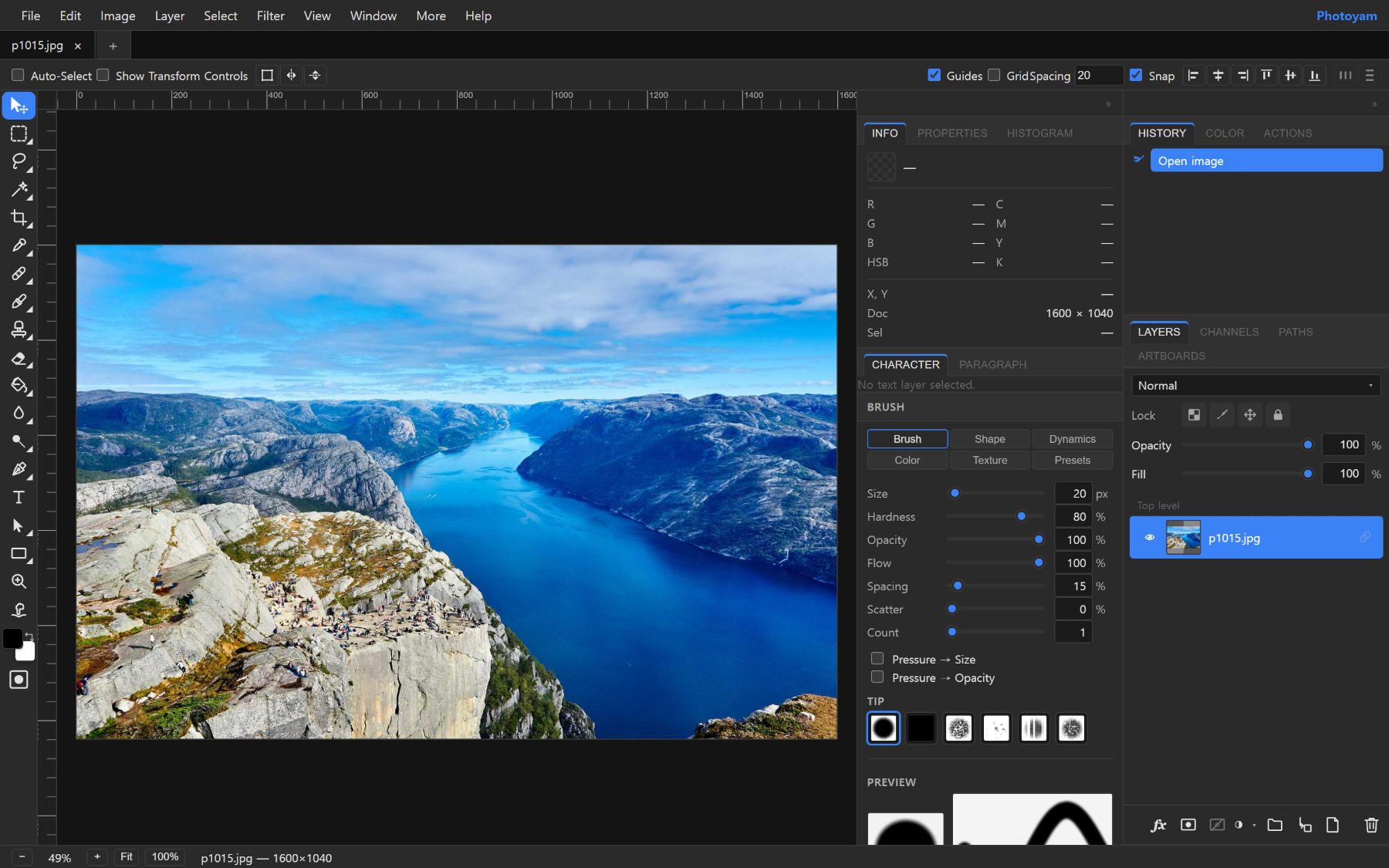 The Photoyam editor with a photo open, showing the tool bar, the Layers panel and the Adjustments panel