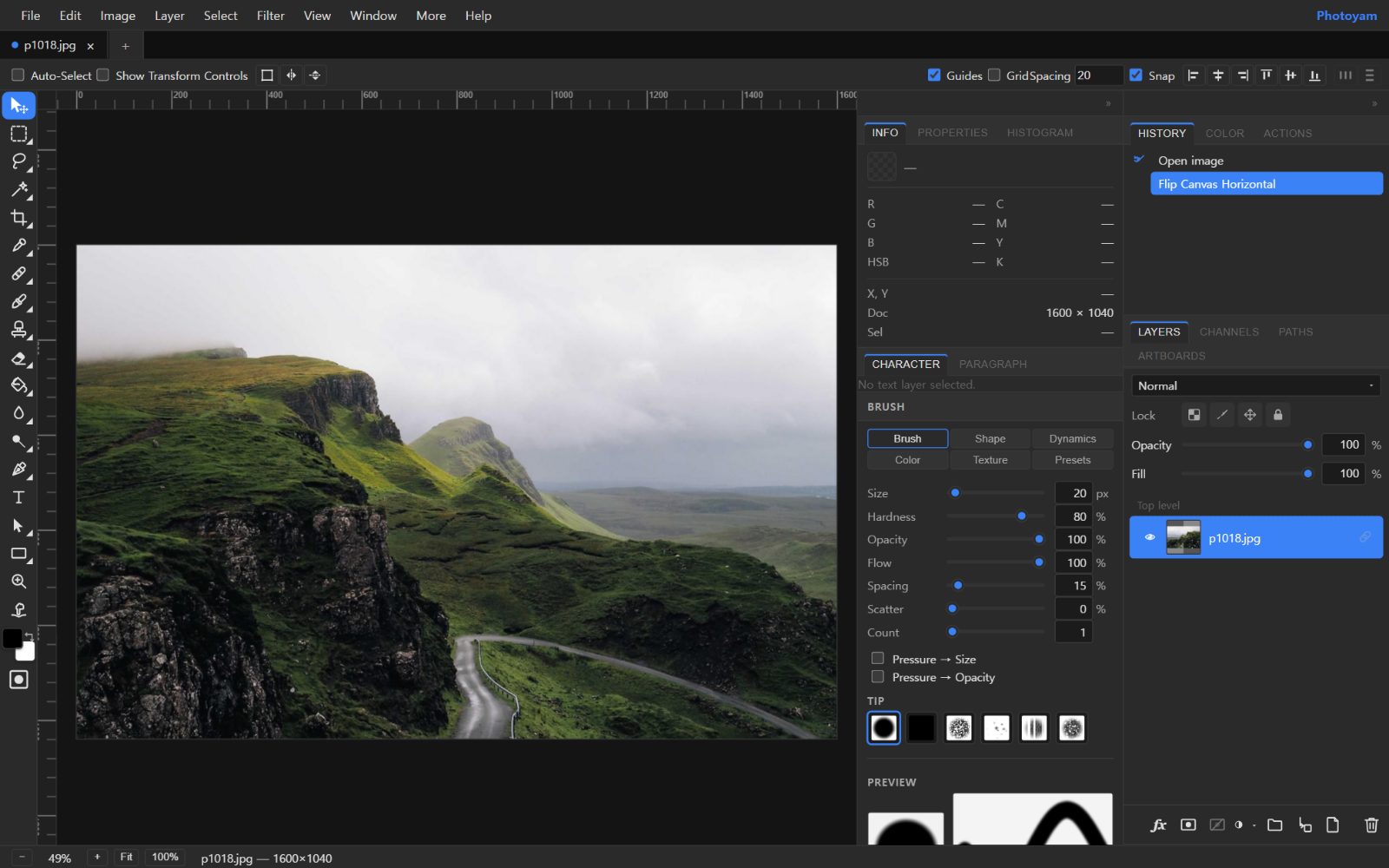 The Photoyam editor showing a mirrored landscape photo, with the History panel listing Open image followed by Flip Canvas Horizontal.
