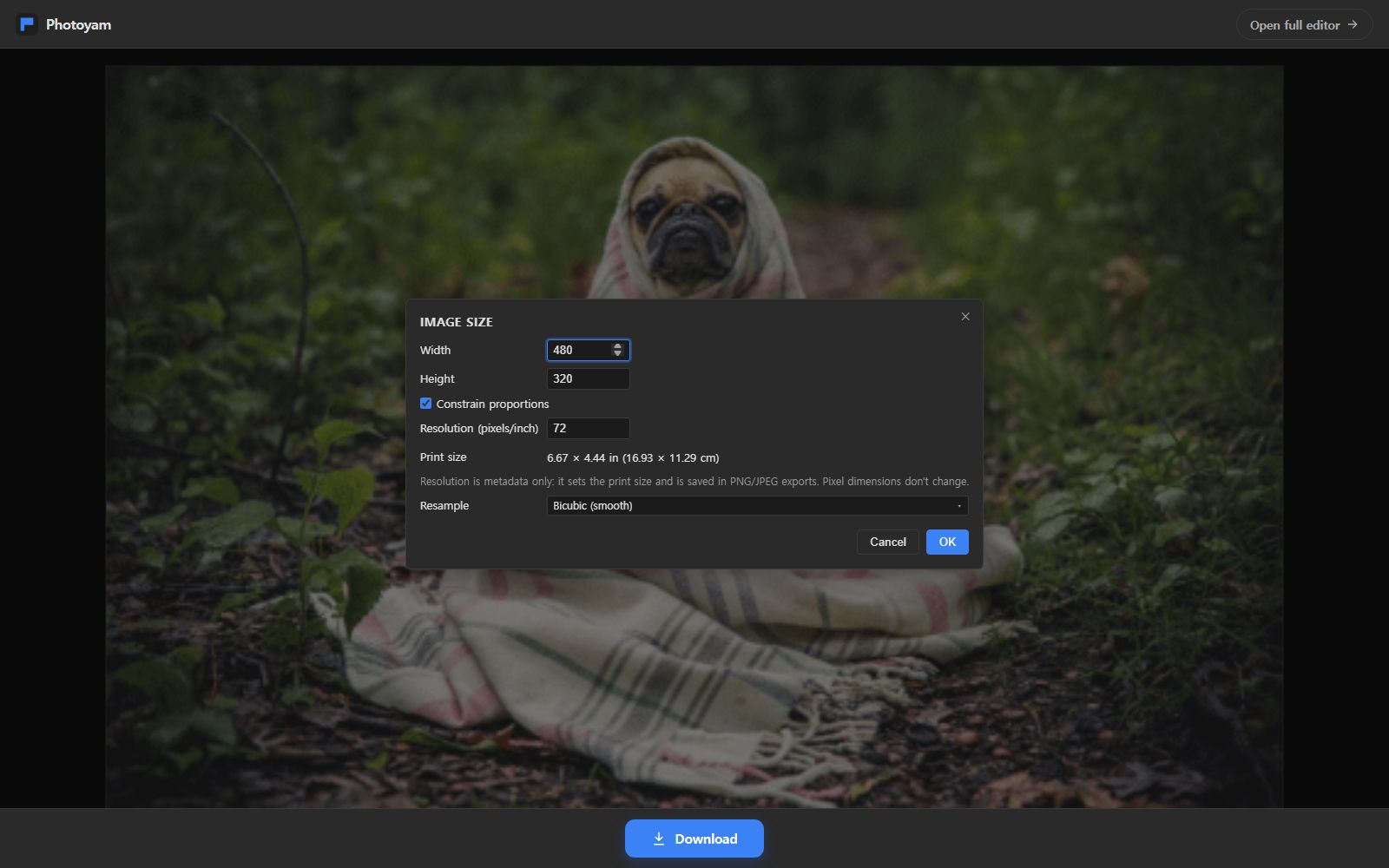 Photoyam's Image Size dialog open over an animated GIF of a pug in a blanket, showing Width 480, Height 320, Constrain proportions ticked, Resolution 72 and Resample set to Bicubic (smooth), with a Download button below.