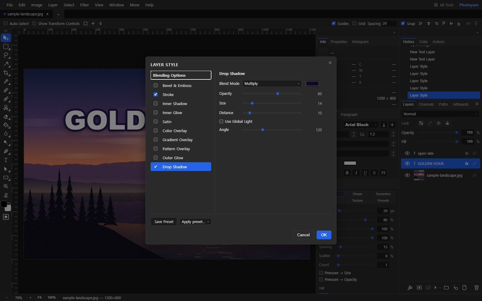 The Layer Style dialog open over the sunset image. The left list shows Blending Options and ten effects with checkboxes, with Stroke and Drop Shadow ticked and Drop Shadow selected. The right side shows Blend Mode Multiply with a dark purple swatch, Opacity 60, Size 14, Distance 10, an unticked Use Global Light checkbox and Angle 120. Save Preset, Apply preset, Cancel and OK buttons run along the bottom.