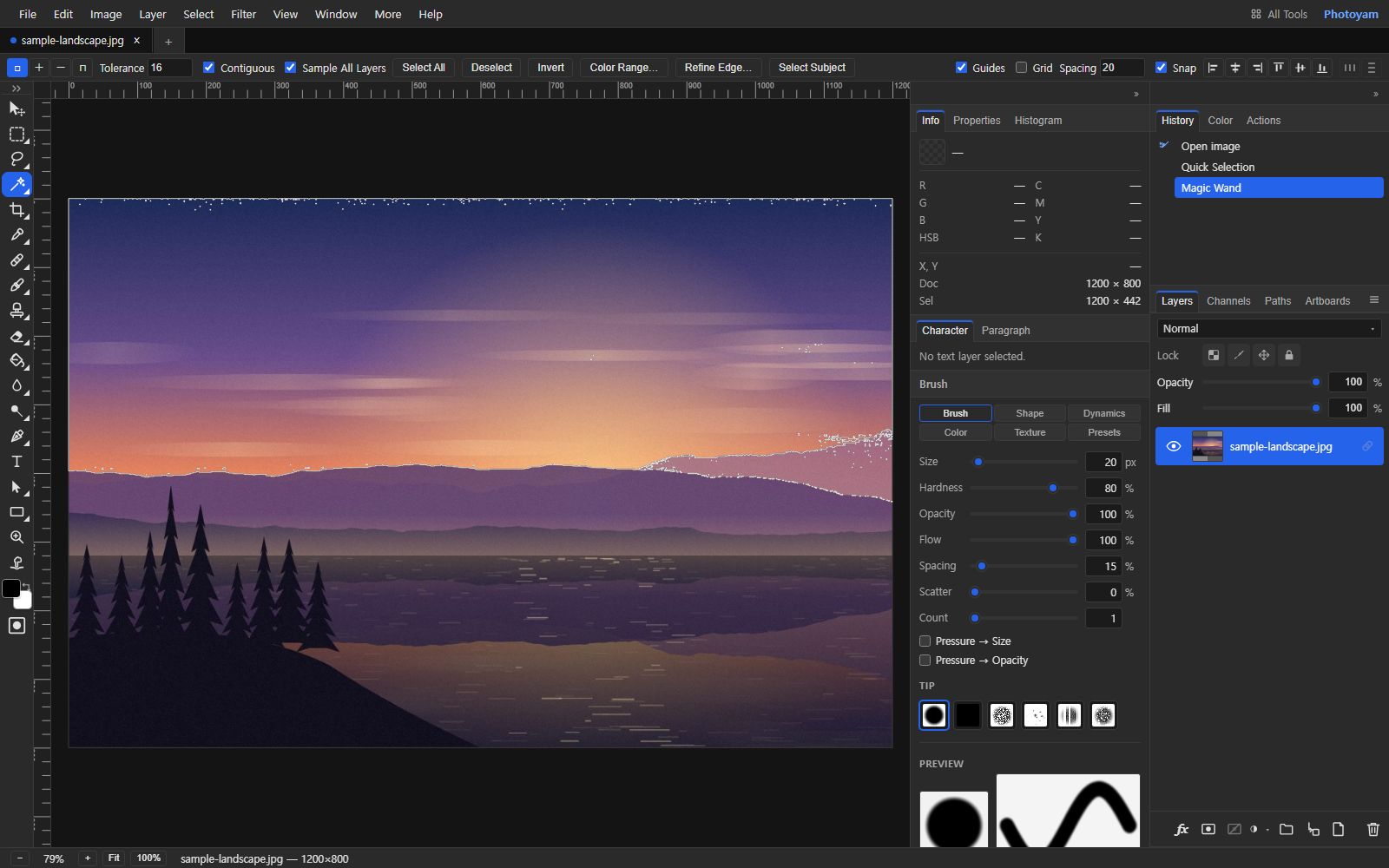 Photoyam editor with a sunset lake landscape. Marching ants run along the ridge line where the orange sky meets the purple mountains and along the top edge of the image, showing the sky selected. The Magic Wand options bar shows Tolerance 16, Contiguous and Sample All Layers, and the History panel lists Quick Selection and Magic Wand.