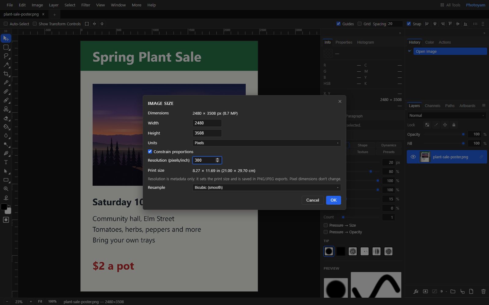 The Photoyam editor with a Spring Plant Sale poster open and the Image Size dialog in front: Dimensions 2480 × 3508 px (8.7 MP), Width 2480, Height 3508, Units Pixels, Constrain proportions checked, Resolution (pixels/inch) 300, and Print size 8.27 × 11.69 in (21.00 × 29.70 cm), with Cancel and OK buttons.