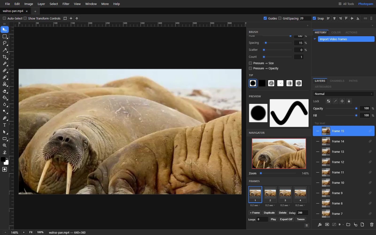 The Photoyam editor after importing a walrus video: the canvas shows one frame, the Layers panel lists Frame 15 down to Frame 7, and the Frames panel shows thumbnails 1 to 4 with 0.2 sec delays and buttons for Frame, Duplicate, Delete, Play, Export GIF and Tween.